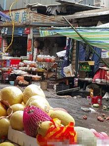 河南菜市场爆料视频大全,新鲜食材与人间烟火味 第2张 河南菜市场爆料视频大全,新鲜食材与人间烟火味 第2张